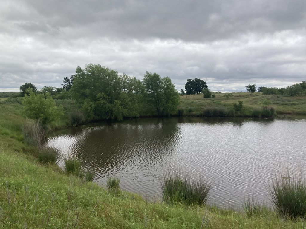 0000 Ward Road, Newcastle, TX 76372