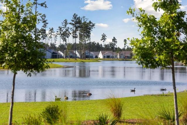 111 Haverhill Street, Summerville, SC 29486