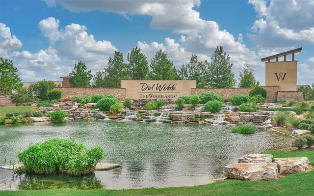 108 Wild Wick Way, Spring, TX 77382