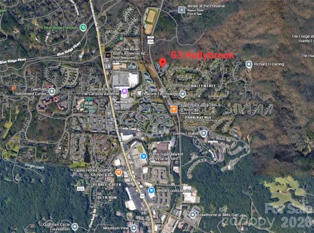 63 Hollybrook Drive, Asheville, NC 28803