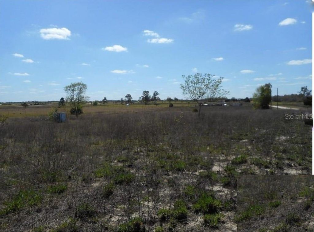 Image 4 of property listing at 11790 NE 30TH STREET, Bronson, FL 32621