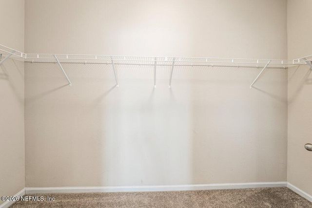 1477 AUTUMN PINES Drive, Orange Park, FL 32065