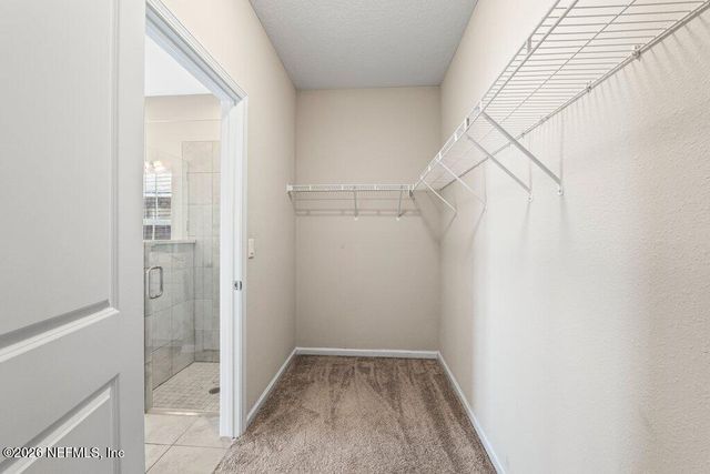 1477 AUTUMN PINES Drive, Orange Park, FL 32065