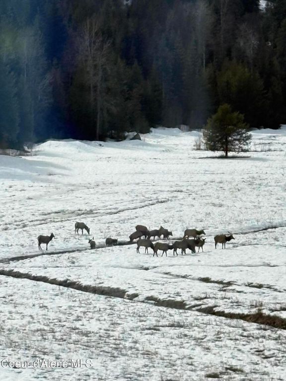 Address unavailable. photo 33