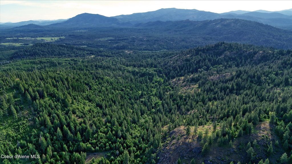 Address unavailable. photo 5