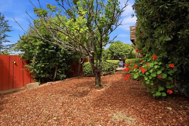 3028 Greenoak Court, San Mateo, CA 94403