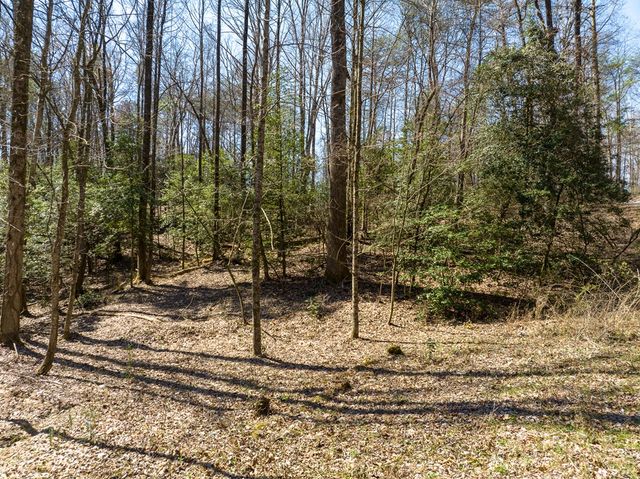 Lot 193 Shenendoa Drive, Ellijay, GA 30540