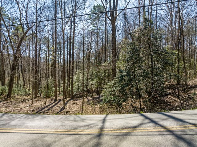 Lot 193 Shenendoa Drive, Ellijay, GA 30540