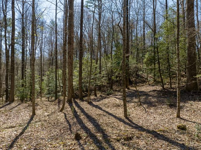 Lot 193 Shenendoa Drive, Ellijay, GA 30540