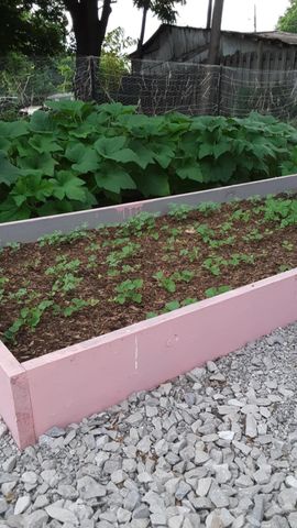 215 Main Street, N Middletown, KY 40357