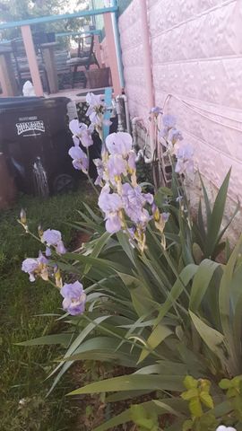 215 Main Street, N Middletown, KY 40357