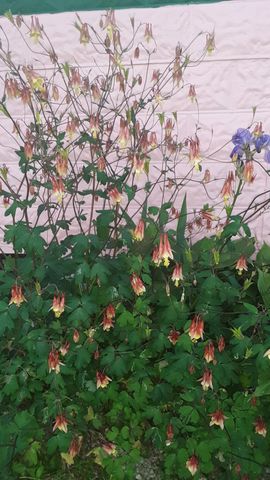 215 Main Street, N Middletown, KY 40357