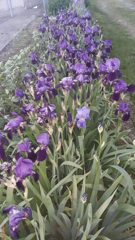 215 Main Street, N Middletown, KY 40357