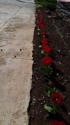 215 Main Street, N Middletown, KY 40357