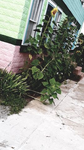 215 Main Street, N Middletown, KY 40357