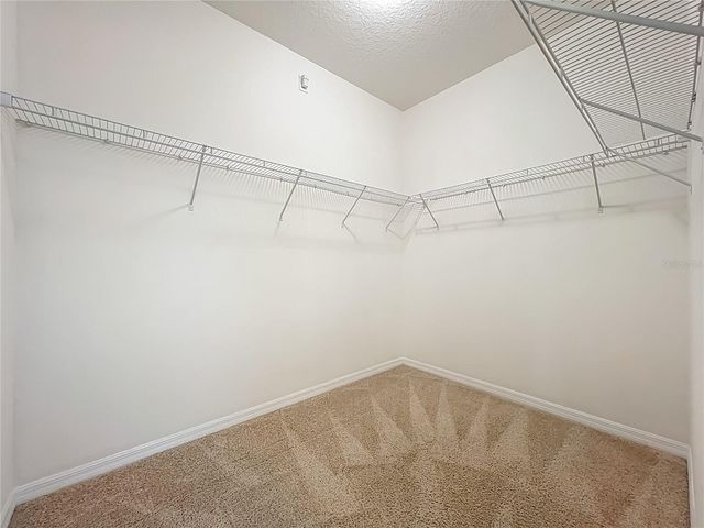 16856 HYPATIA ALLEY, Winter Garden, FL 34787