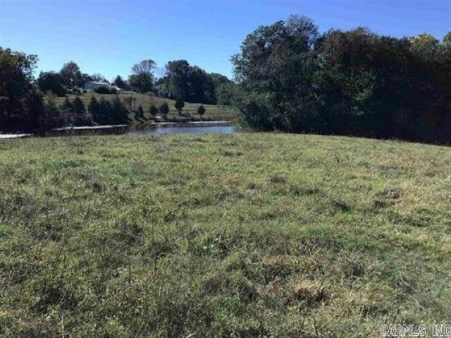 163 Polk Road 21, Cove, AR 71937