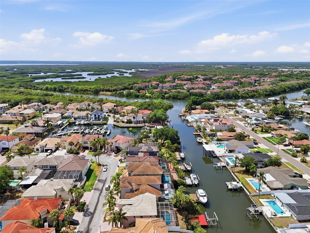 Image 55 of property listing at 10621 HATTERAS DRIVE, Tampa, FL 33615