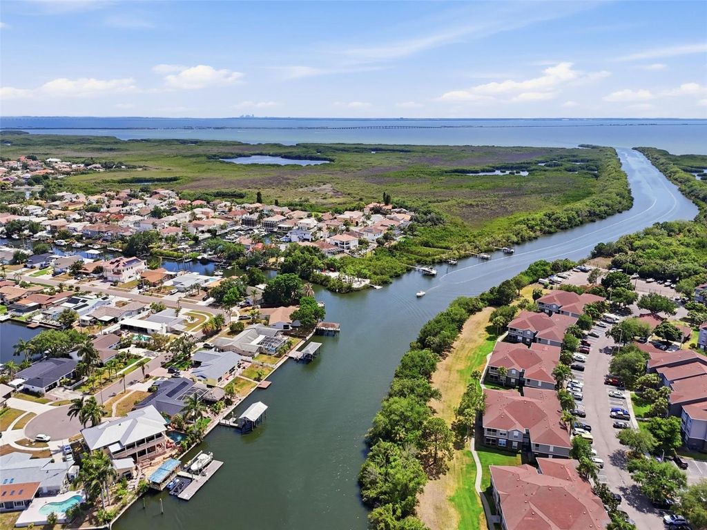 Image 56 of property listing at 10621 HATTERAS DRIVE, Tampa, FL 33615
