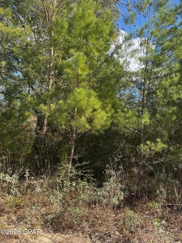 0000 Jamaica Circle, Chipley, FL 32428