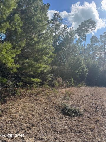 0000 Jamaica Circle, Chipley, FL 32428