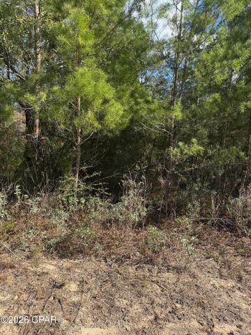 0000 Jamaica Circle, Chipley, FL 32428