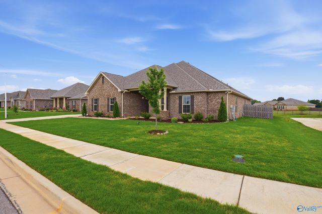 216 Nellie Faye Lane, Meridianville, AL 35759