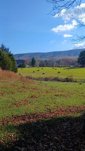 5110 Rich Patch RD, Covington, VA 24426