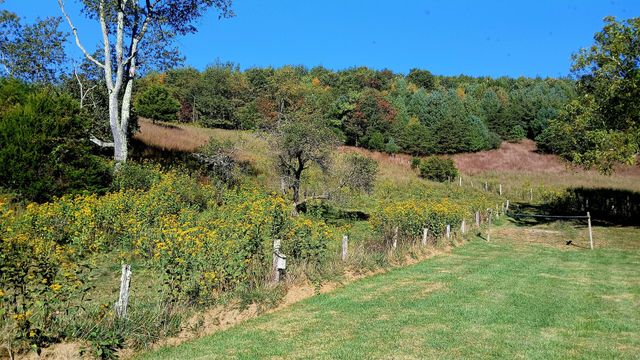 5110 Rich Patch RD, Covington, VA 24426