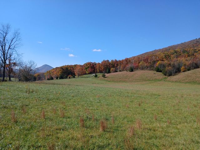 5110 Rich Patch RD, Covington, VA 24426