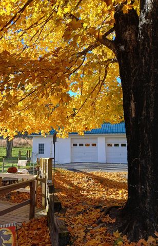 5110 Rich Patch RD, Covington, VA 24426