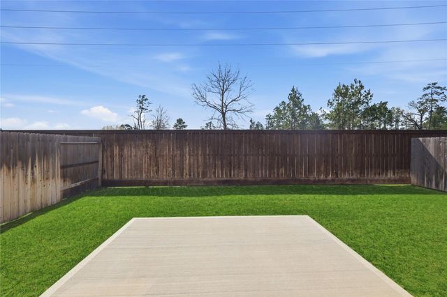 14526 Rustic Birch Drive, Conroe, TX 77302