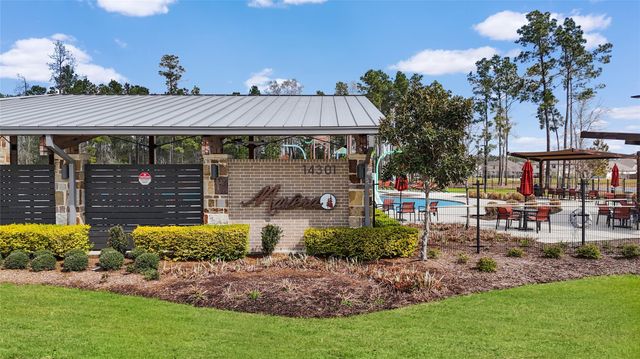 14526 Rustic Birch Drive, Conroe, TX 77302