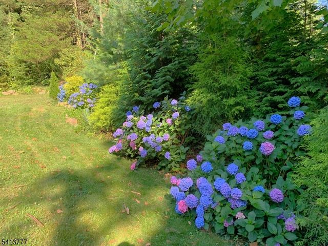 15 Mountain Spring Dr, Sparta Twp., NJ 07871