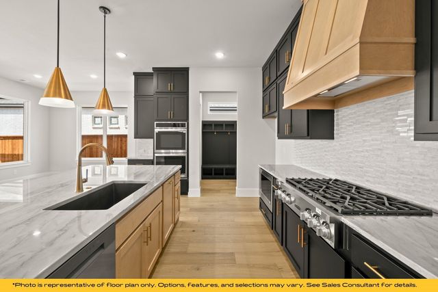 313 Fire Blade Drive, Aledo, TX 76008