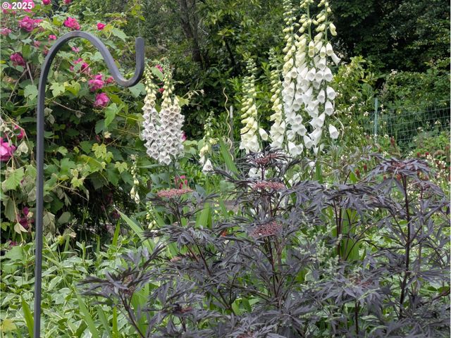 1933 E 28th Ave, Eugene, OR 97403