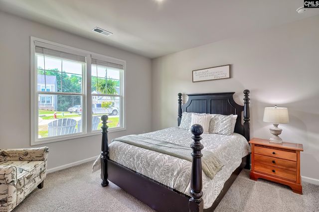 630 Basalt Court, Chapin, SC 29036