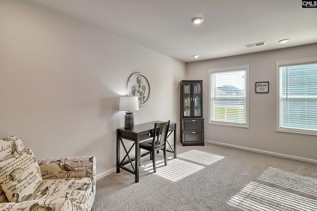 630 Basalt Court, Chapin, SC 29036