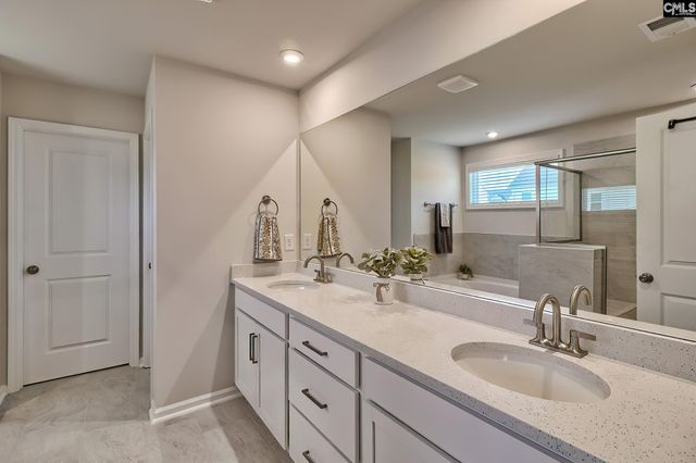 630 Basalt Court, Chapin, SC 29036