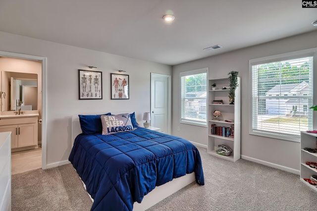 630 Basalt Court, Chapin, SC 29036