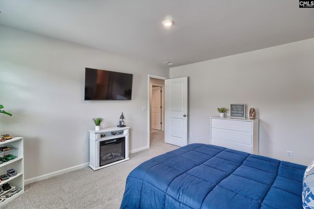 630 Basalt Court, Chapin, SC 29036