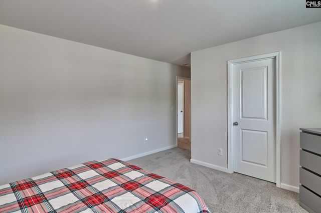 630 Basalt Court, Chapin, SC 29036