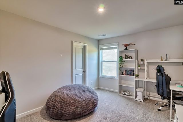630 Basalt Court, Chapin, SC 29036