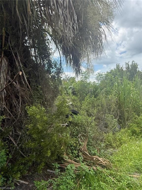 3215 63rd ST W, LEHIGH ACRES, FL 33971 — photo 4