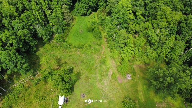 4998 Tranham Rd, Whites Creek, TN 37189