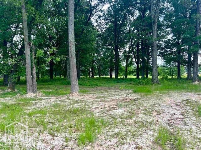 3 Purcell Road acres, Paragould, AR 72450