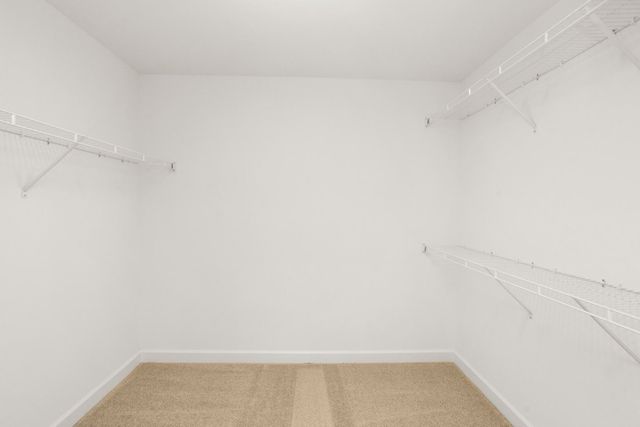 5027 Salient Dr, Spring Hill, TN 37174