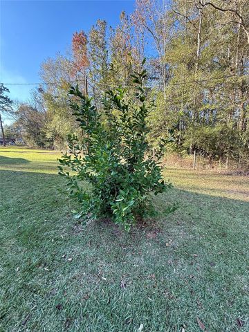 975 Roberts, Vidor, TX 77662