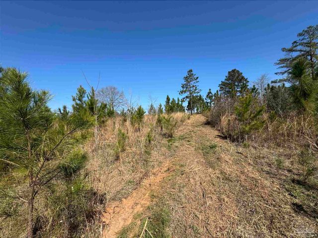 Lot 6 Will Jones Rd, Jay, FL 32565