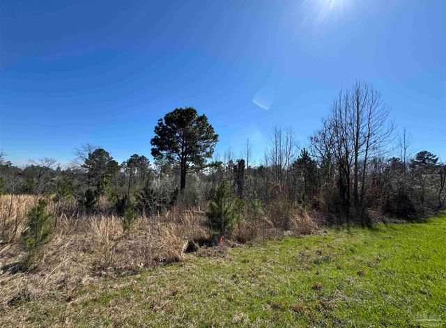 Lot 6 Will Jones Rd, Jay, FL 32565